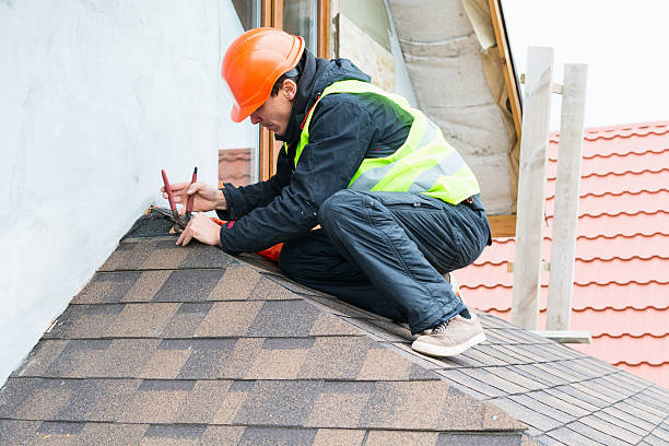 Best Roof Gutter Cleaning  in Tahoka, TX